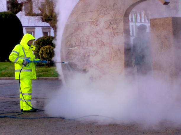 Best Residential Pressure Washing Services  in Canadian Lakes, MI